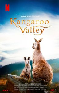 دانلود مستند دره کانگورو Kangaroo Valley 2022